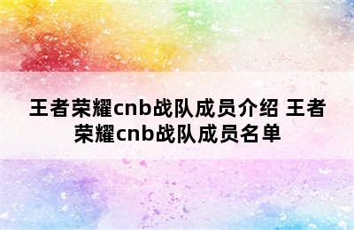 王者荣耀cnb战队成员介绍 王者荣耀cnb战队成员名单